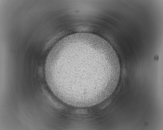 X0000112390353200909241244
