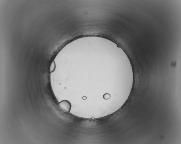 X0000112390354200909241244