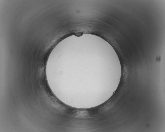 X0000112390355200909241244