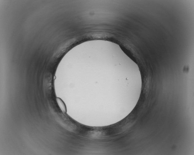 X0000112390356200909241244