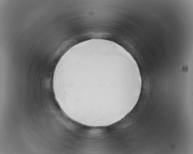 X0000112390357200909241244