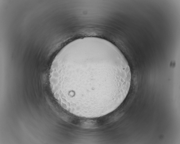 X0000112390359200909241244