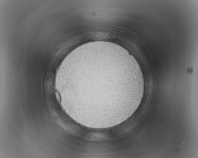 X0000112390360200909241244