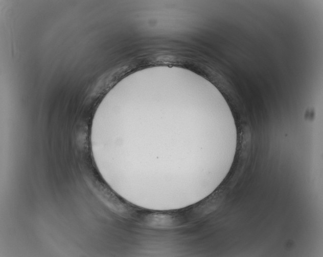 X0000112390361200909241244