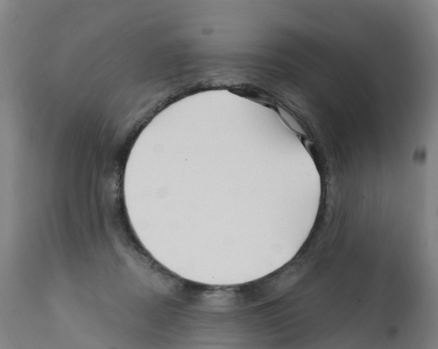 X0000112390362200909241244