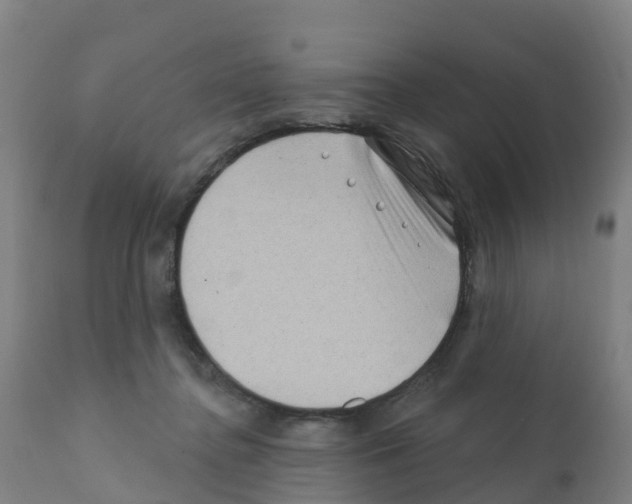 X0000112390364200909241244