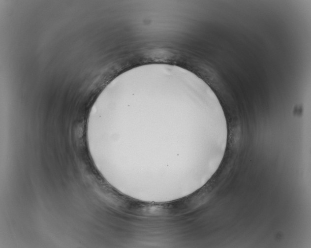 X0000112390365200909241244