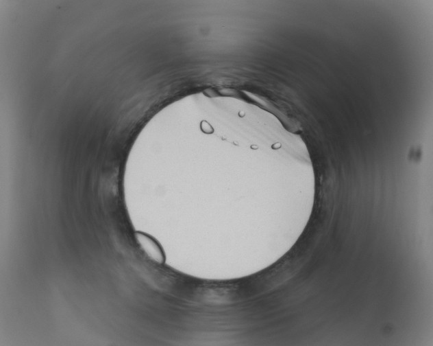X0000112390368200909241244
