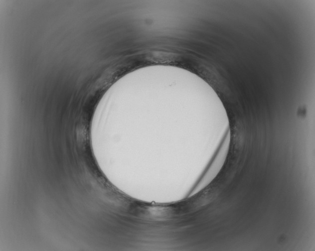X0000112390371200909241244