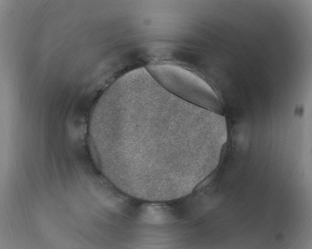 X0000112390372200909241244