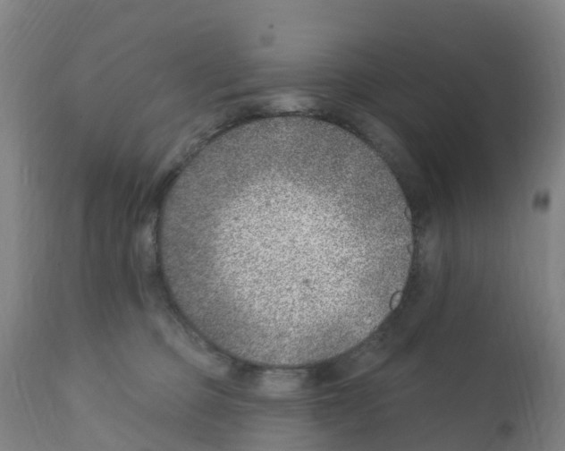 X0000112390373200909241244