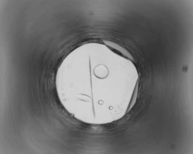 X0000112390376200909241244