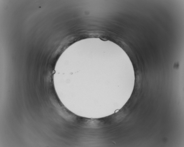 X0000112390379200909241244