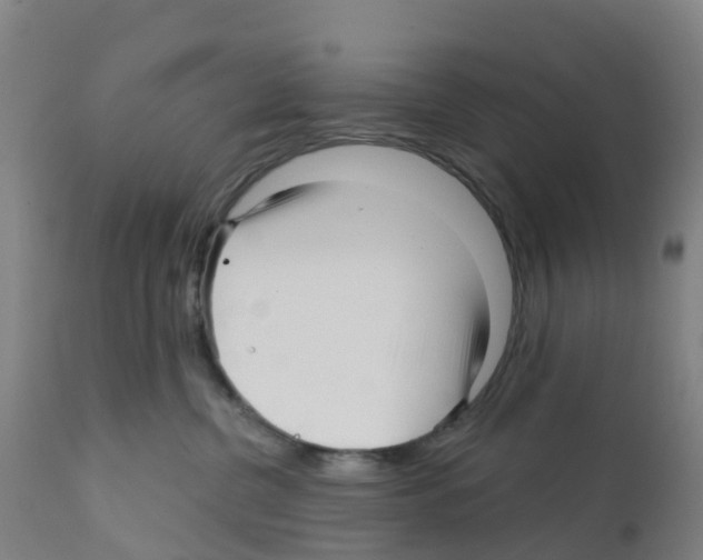 X0000112390380200909241244