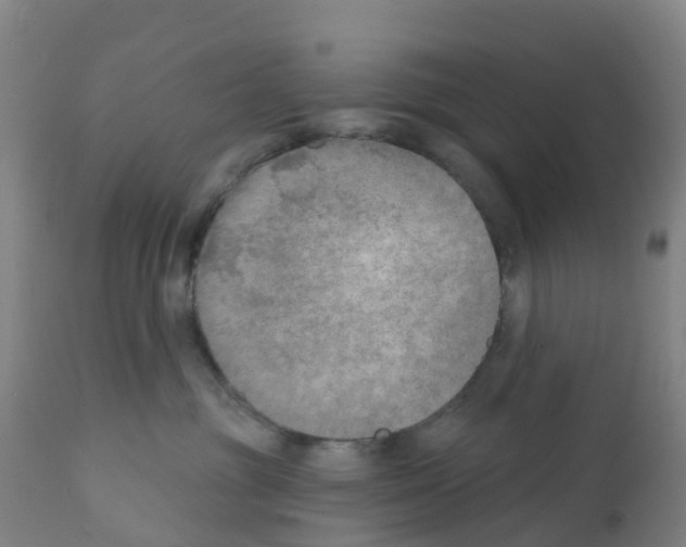 X0000112390381200909241245