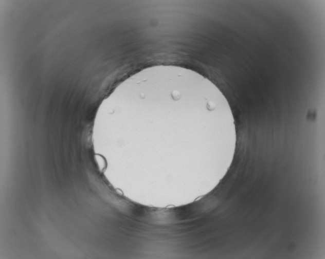 X0000112390383200909241245