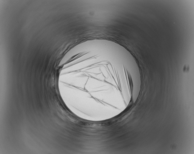 X0000112390384200909241245