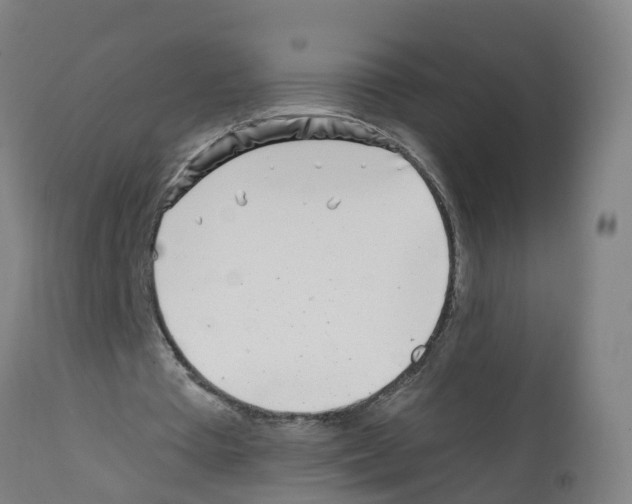 X0000112390385200909241244