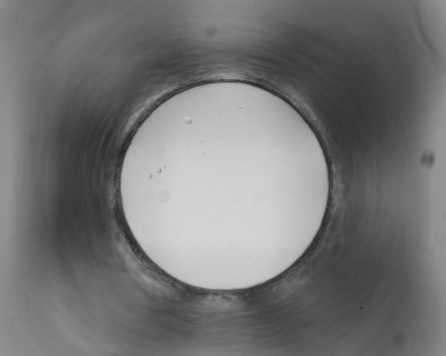 X0000112390386200909241244