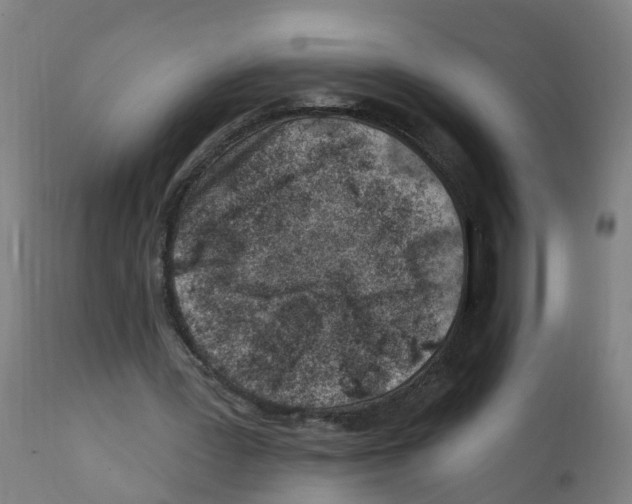 X0000112390387200909241244