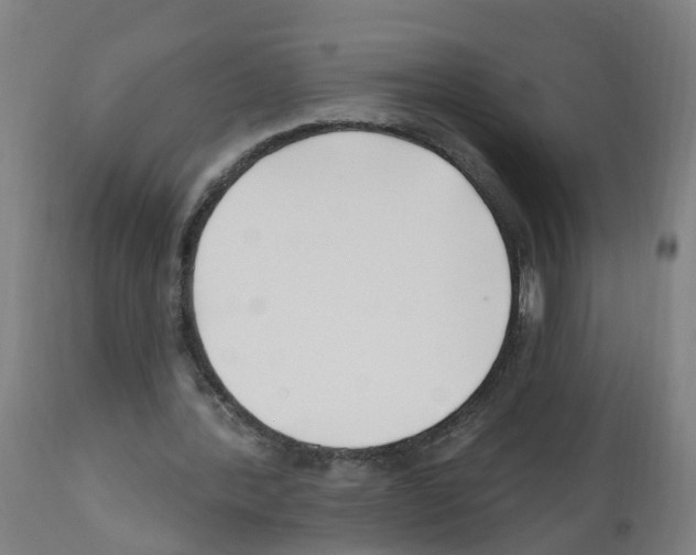 X0000112390388200909241244