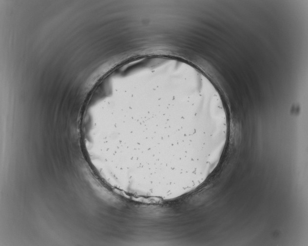 X0000112390389200909241244