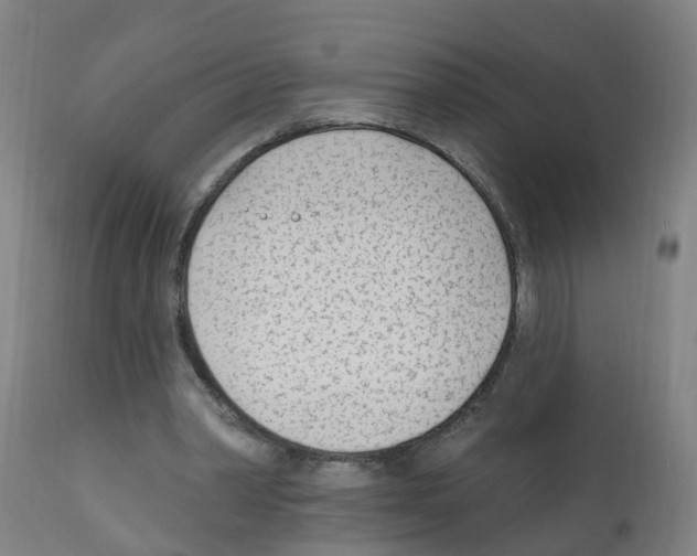 X0000112390390200909241244