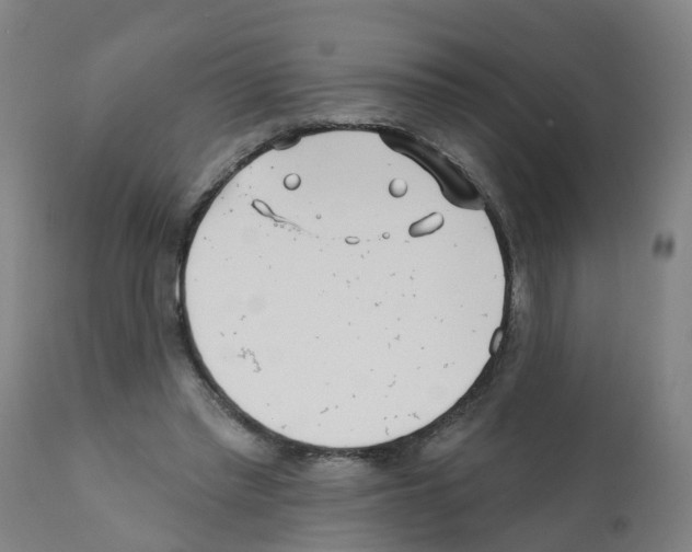 X0000112390397200909241244