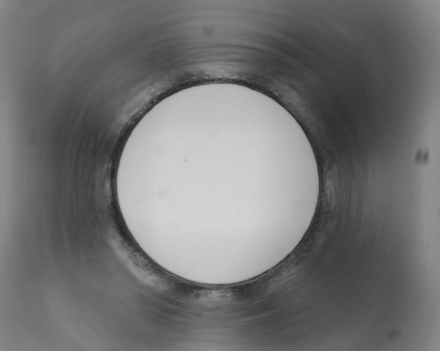 X0000112390398200909241244