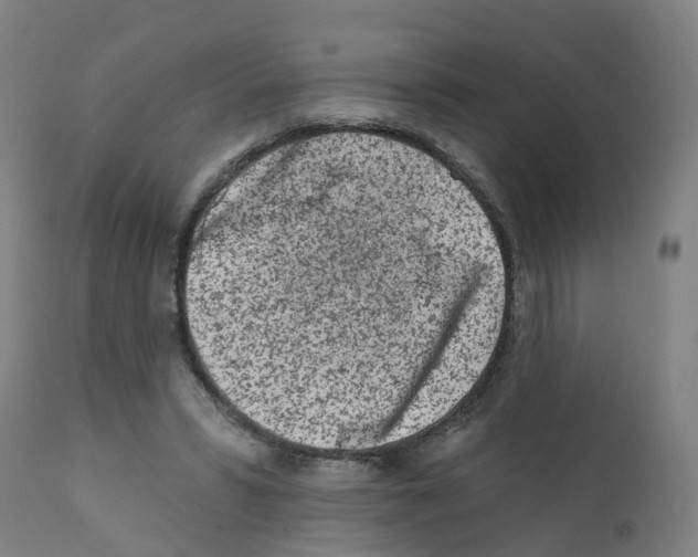 X0000112390399200909241244