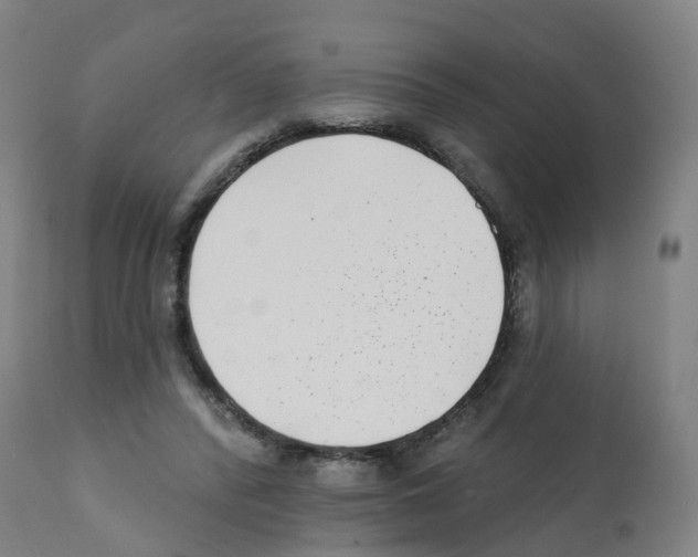X0000112390400200909241244