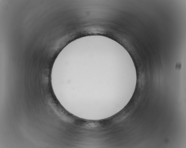 X0000112390402200909241243