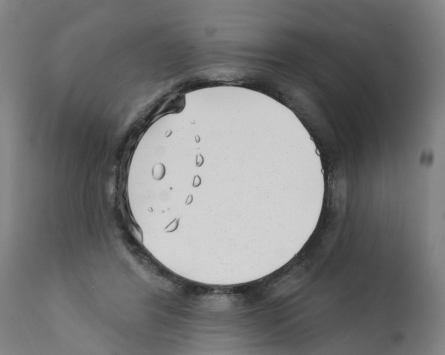 X0000112390404200909241243
