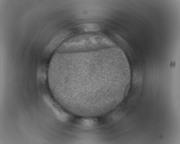 X0000112390405200909241243