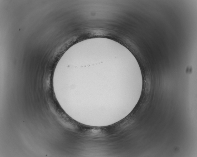 X0000112390406200909241243