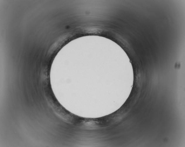 X0000112390407200909241243