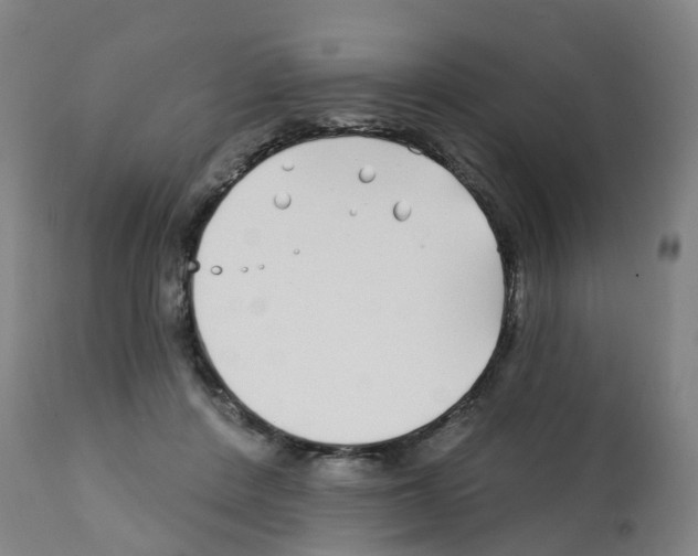 X0000112390408200909241243
