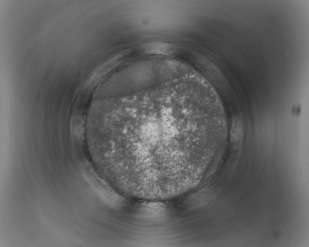 X0000112390409200909241243