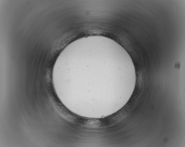 X0000112390410200909241243