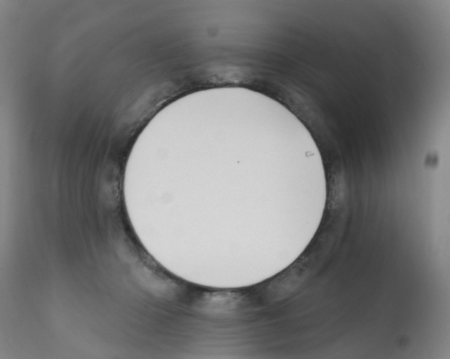 X0000112390414200909241243