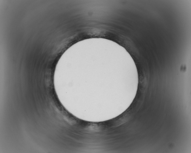 X0000112390416200909241243