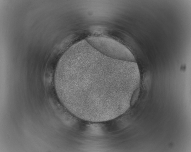 X0000112390417200909241243