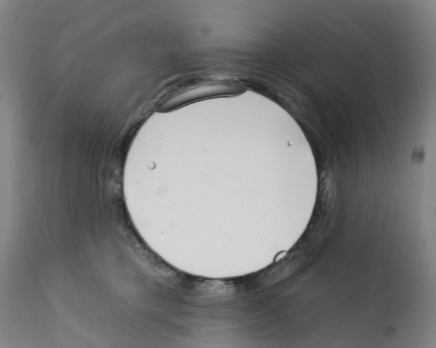 X0000112390421200909241243