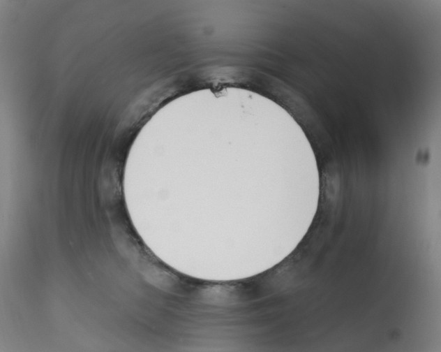 X0000112390422200909241243