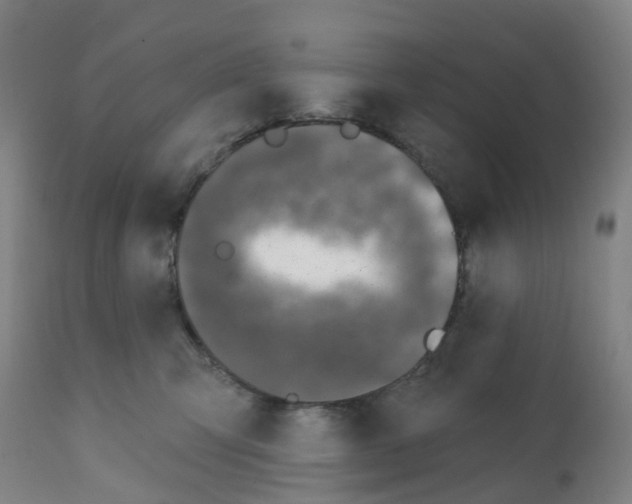 X0000112390423200909241243