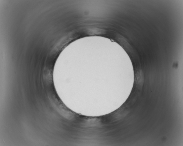 X0000112390426200909241243