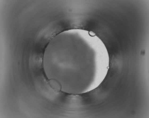 X0000112390427200909241243
