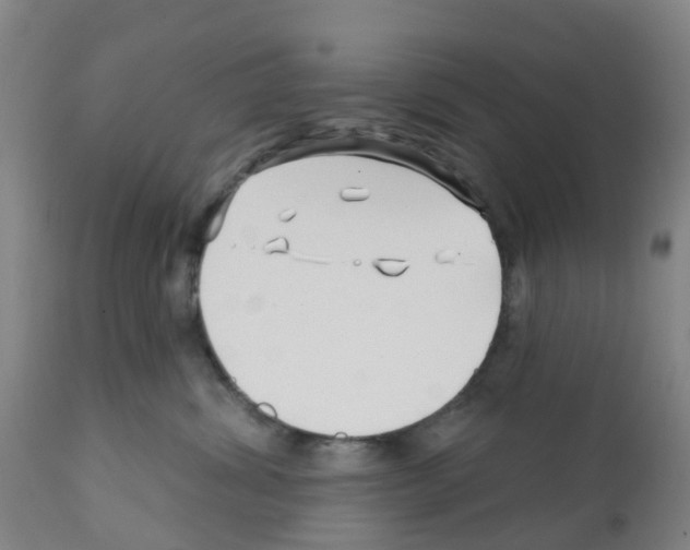 X0000112390428200909241243