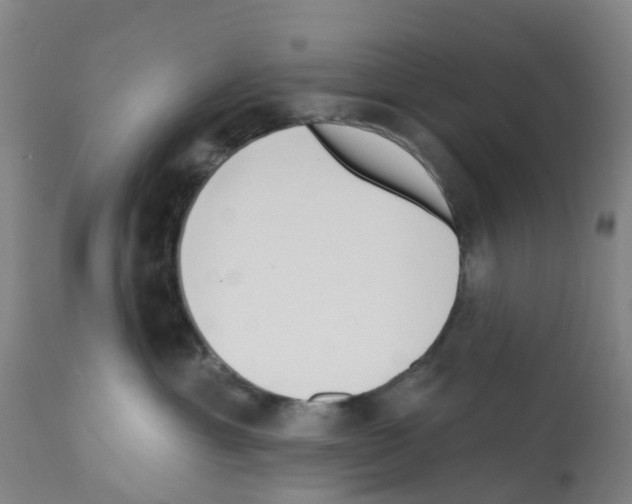 X0000112390429200909241243