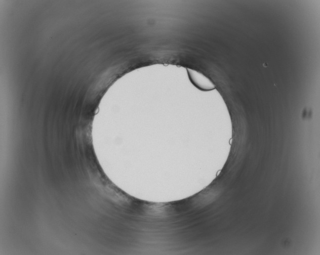 X0000112390432200909241243